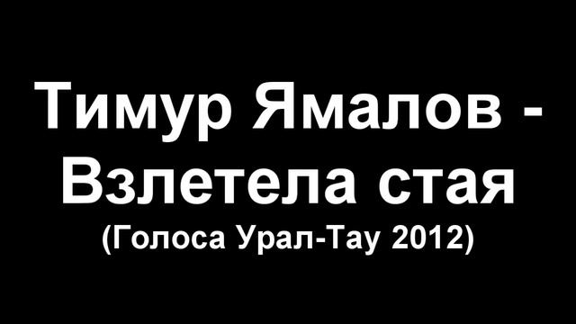 Тимур Ямалов - Взлетела стая смотреть онлайн