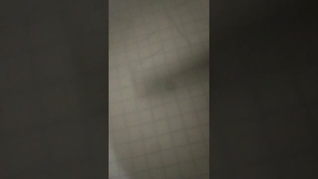 как нарисовать котиков которые обнимаются смотреть онлайн