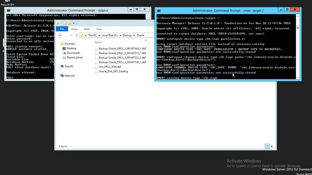 Tranzman: Oracle Restoring from Full Backups смотреть онлайн