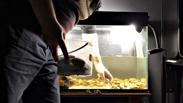 ОФОРМЛЕНИЕ АКВАРИУМА (НИЧЕГО НЕ ПОЛУЧИЛОСЬ) смотреть онлайн