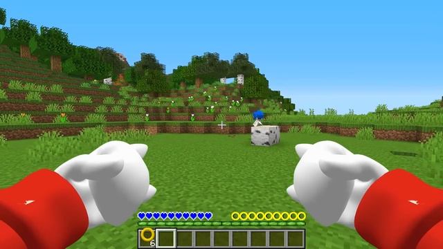 How to Play As Knuckles in Minecraft - Animation minecraft Sonic Gameplay By Scooby Craft смотреть онлайн