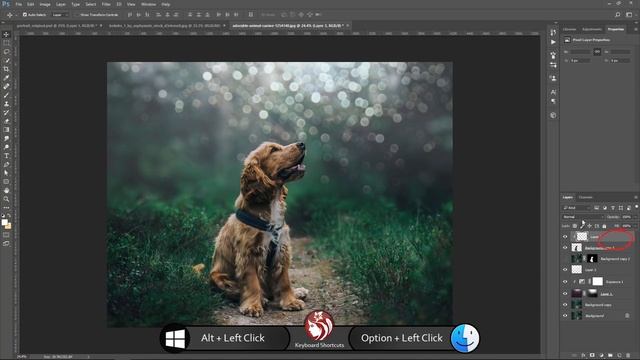 Pet Portrait Retouching Photoshop Tutorial [Dog Photo Edit] смотреть онлайн