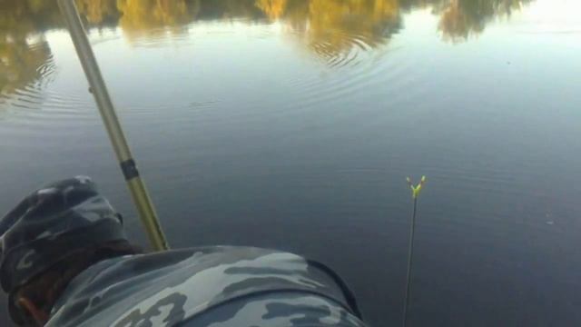 18.07.16. Рыбалка на маховое удилище. Река Большой Иргиз. смотреть онлайн