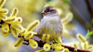 Апрель. Ещё один апрель