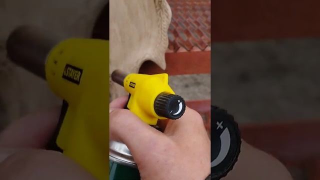 Обжиг рыбы, блюда из дуба. смотреть онлайн