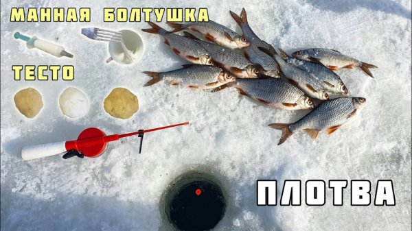 ЛОВЛЯ ПЛОТВЫ НА РАСТИТЕЛЬНЫЕ НАЖИВКИ! Манная болтушка, тесто. Зимняя рыбалка на поплавок!
