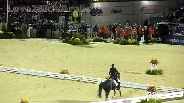 Edward Gal and Moorlands Totilas WEGS 2010 Freestyle Dressage смотреть онлайн