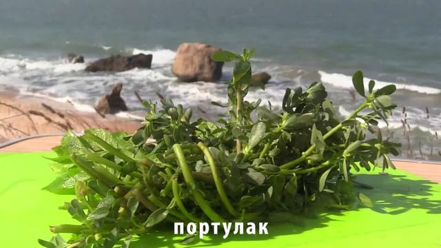 Завтрак в бухте смотреть онлайн