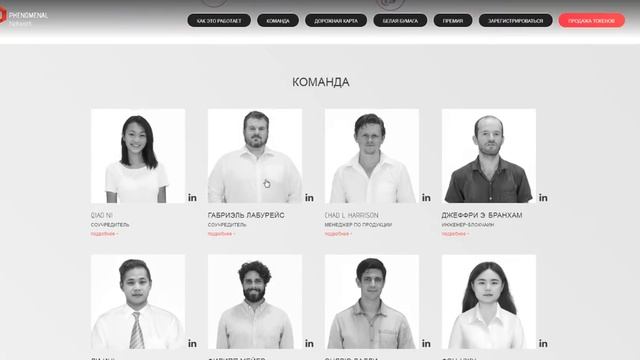 Полный обзор проекта Phenomenal Network (PN) смотреть онлайн