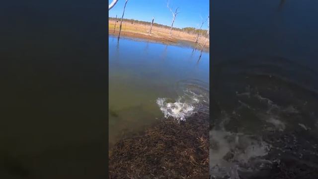 Deep v fishing boats for sale @Fishing unlimited @Fishing forecast for today @Fishing 3 way swivel смотреть онлайн