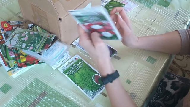 Какие семена выбрать. Что такое бамия. смотреть онлайн