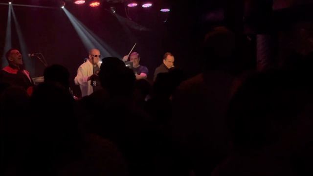 Too Much Joy - Donna Everywhere - 10/27/2022 - Jammin Java смотреть онлайн
