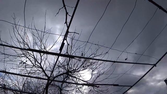 ОБРЕЗАЛА ЛИДИЮ ? ЛЮБИМЫЙ ВАСИЛЕК В БЛАГОДАРНОСТЬ ОТ ВСЕЙ ДУШИ?? смотреть онлайн