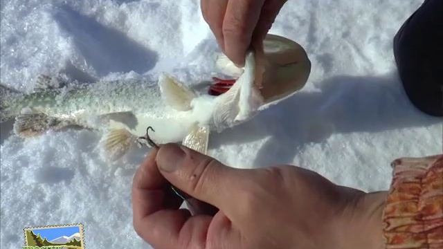 Ловля щуки на жерлицы. Тургай. Часть 1 смотреть онлайн