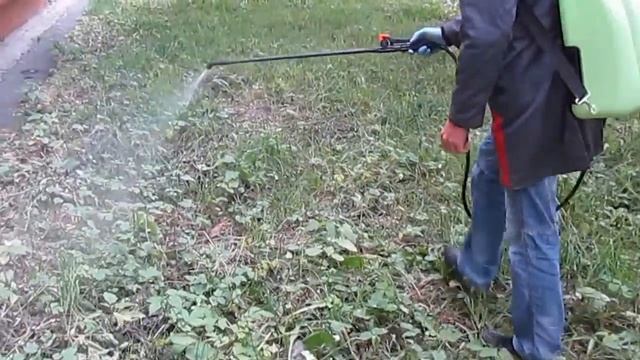 Акарицидная обработка территории спорткомплекса смотреть онлайн