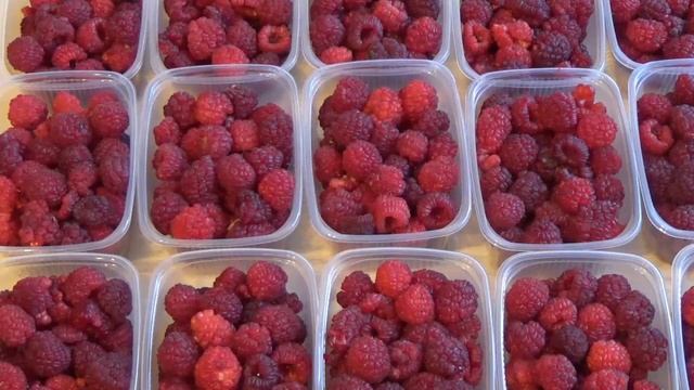 Руководство к Креативности