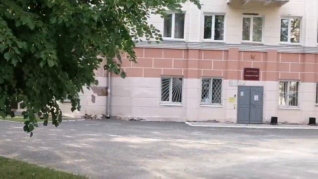 На работу!-лечу Вот он Кот Йошкин, а где его Йошкина Кошка!?