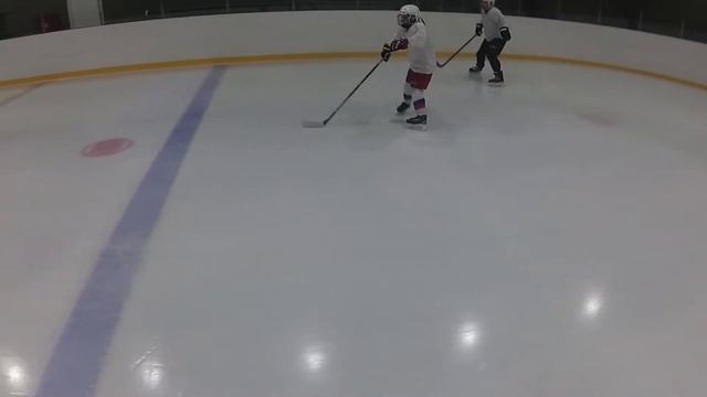 Ледовые тренировки для хоккеистов в Larionov HockeyGym смотреть онлайн