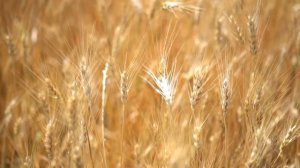 96 Аффирмации на привлечение любви конкретного мужчины | Аффирмации на любовь