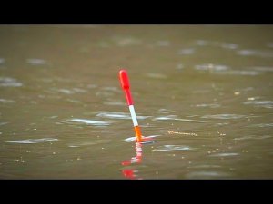 КАРАСЬ КЛЮЁТ И ДАЖЕ СОМ. Рыбалка на поплавок. Нашёл большую стаю карася с сазаном.