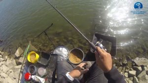 Ловля сазана на фидер на Волго-Донском канале осенью: Рыболовный дневник