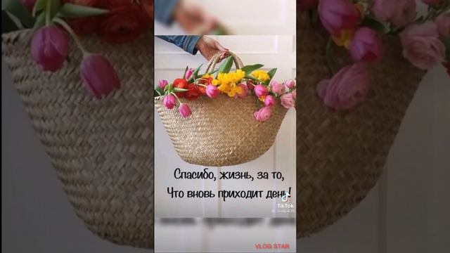 жизнь твоя дорога 😀😇👍👼🌎🌏🌍🏝 смотреть онлайн