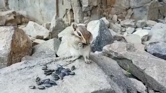 Наша команда в национальном парке "Алханай" смотреть онлайн