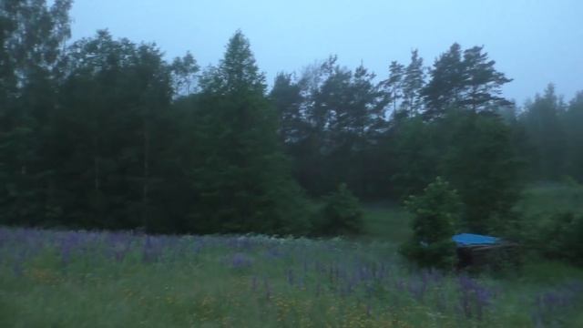 Латгальское утро 4 часа утра. смотреть онлайн