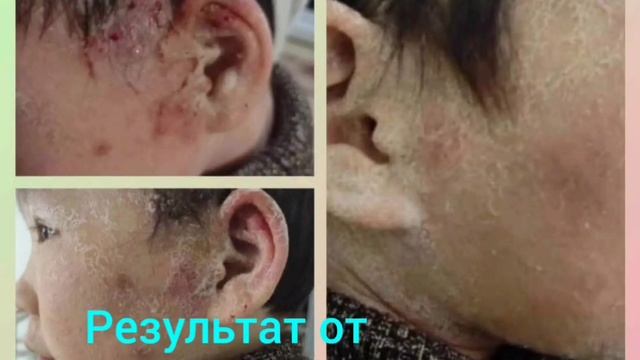 Продукции Виеда