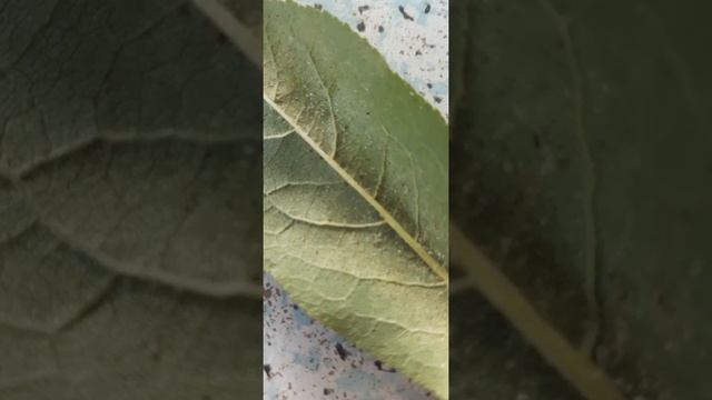 Дизайн и Оформление Сайтов