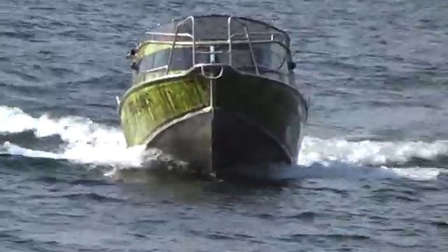 Плавание в теплых источниках