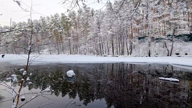 Тулиновка зима 2022 смотреть онлайн