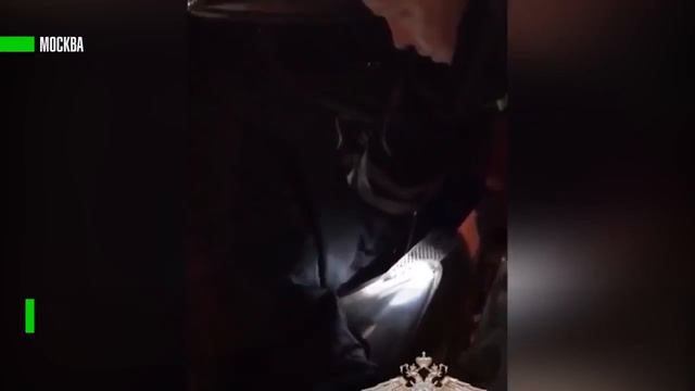 Полицейские спасли застрявшего в моторном отсеке автомобиля котёнка смотреть онлайн