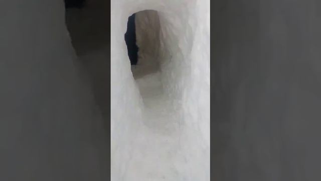 Вагоны занесло снегом по самые крыши🥶 ледяные норы для людей.