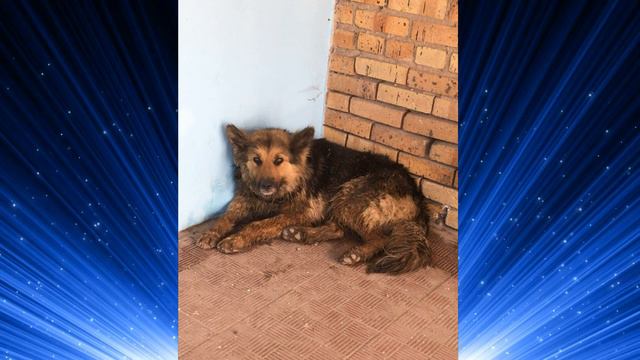 Волшебство смотреть онлайн