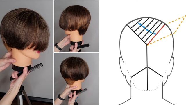 СТРИЖКА "ПИКСИ-БОБ". Схемы| Haircut Pixie bob. Пикси-боб пошагово смотреть онлайн