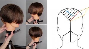 СТРИЖКА "ПИКСИ-БОБ". Схемы| Haircut Pixie bob. Пикси-боб пошагово