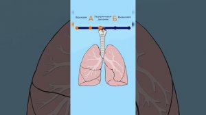 Проверь свои легкие.