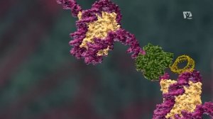 Происхождение. Как появилась жизнь на планете Земля Документальный фильм _ Мифы .mp4