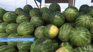 Как выбрать арбуз? 10 проверенных лайфхаков от Сираджа Гасанова. Покупаем арбузы правильно!