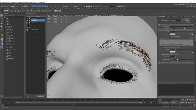 07. Grooming Eyebrows смотреть онлайн