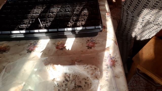 Строительная Зона