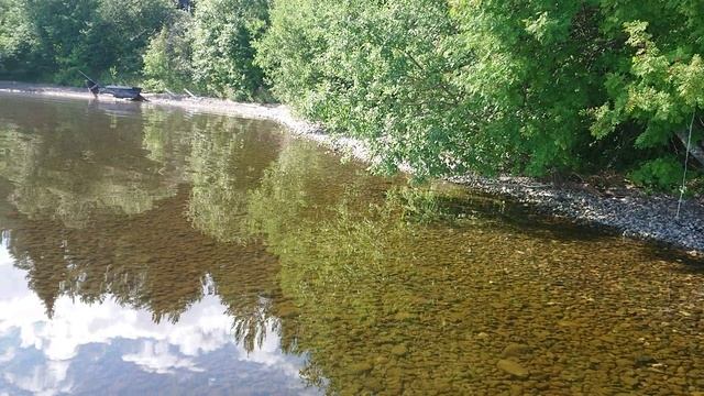 17.03.2021 Поэты.mp4