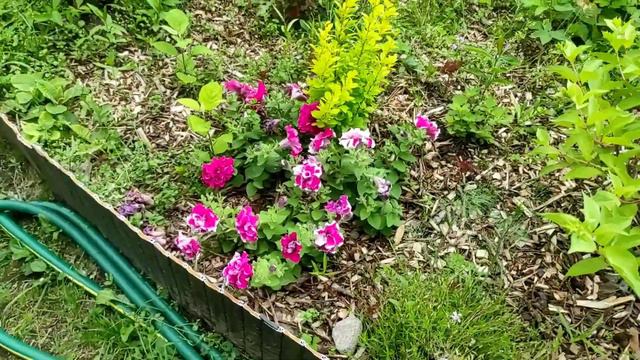 10.07.22.Дача..первые Кабачки😁 смотреть онлайн