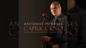 12 Caprices, Op. 25: No. 4 in D Minor - Allegretto