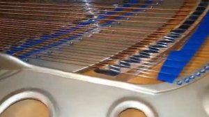 Exclusive Grand Piano Diederichs.  Free fantasy «Sensations».
