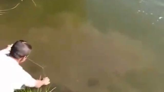 Ловля сома на донку рыбалка на сома на реке 1 смотреть онлайн