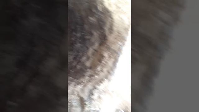 Септик Эко Гранд в Энгельсе