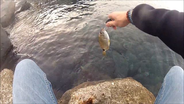 Spin Passion Capri: Light Rock Fishing Game Damiki - F grub 1.5" смотреть онлайн