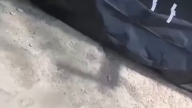 Алтайский край на росии Потерь нет, и на видео для россиян то не морг - то скотобойня смотреть онлайн